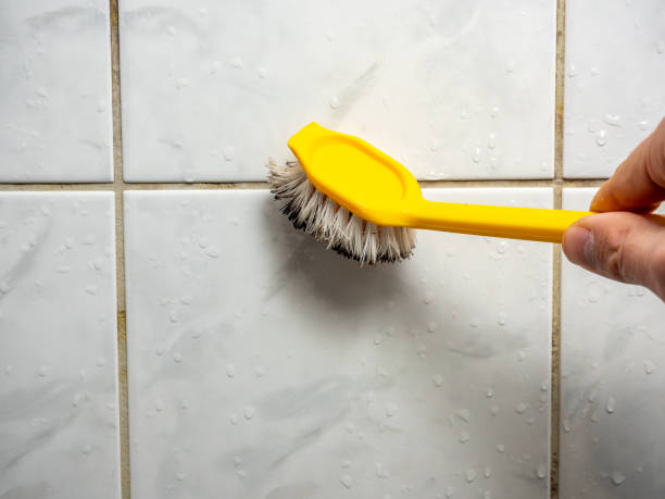 Best Bathroom Mold Remediation in Burke Centre, VA