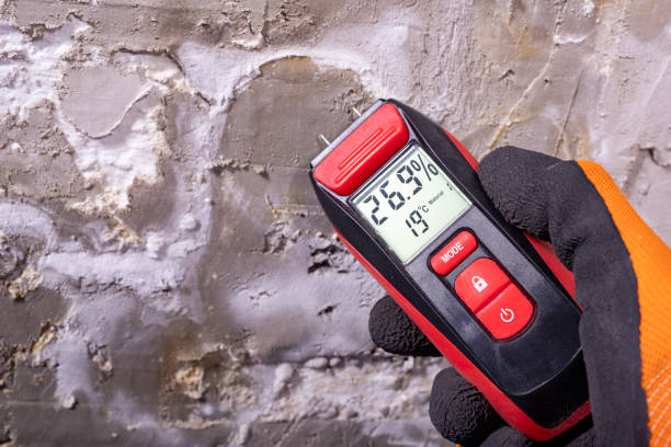 Best Mold Testing and Inspection Services in Burke Centre, VA